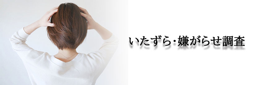【静岡県中部地区（藤枝市・焼津市・島田市・牧之原市・榛原郡吉田町・榛原郡川根本町）　探偵】素行調査｜静岡県中部地区（藤枝市・焼津市・島田市・牧之原市・榛原郡吉田町・榛原郡川根本町）で素行調査で探偵をお探しならスマイルエージェント静岡中部にお任せください。