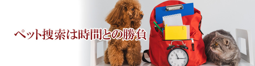 【焼津市・藤枝市・島田市・牧之原市・榛原郡吉田町・榛原郡川根本町　探偵】ペット捜索｜焼津市・藤枝市・島田市・牧之原市・榛原郡吉田町・榛原郡川根本町でペット捜索で探偵をお探しならスマイルエージェント静岡中部にお任せください。